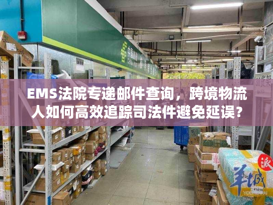 EMS法院专递邮件查询，跨境物流人如何高效追踪司法件避免延误？