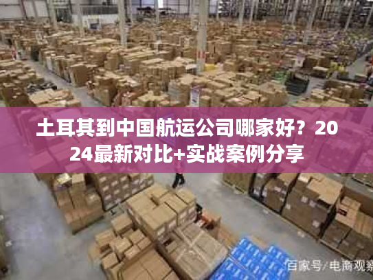 土耳其到中国航运公司哪家好?2024最新对比+实战案例分享 土耳其到中国航运公司哪家好?2024最新对比+实战案例分享
