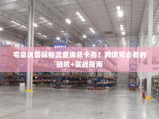 宅急送国际物流查询总卡壳?跨境党必看的避坑+实战指南 宅急送国际物流查询总卡壳?跨境党必看的避坑+实战指南