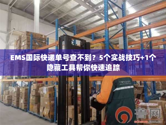 EMS国际快递单号查不到？5个实战技巧+1个隐藏工具帮你快速追踪