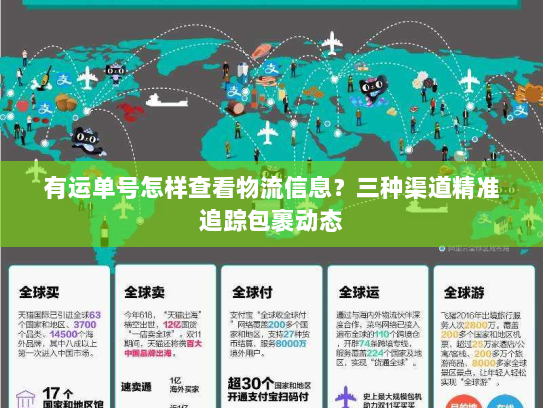 有运单号怎样查看物流信息?三种渠道精准追踪包裹动态 有运单号怎样查看物流信息?三种渠道精准追踪包裹动态