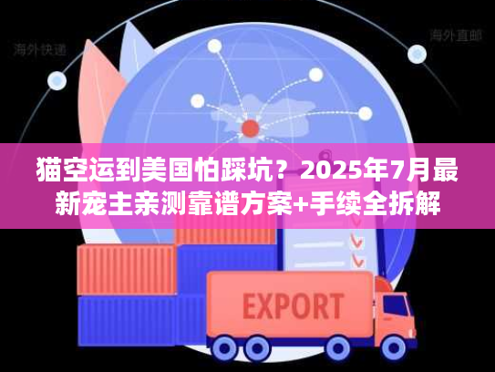 猫空运到美国怕踩坑？2025年7月最新宠主亲测靠谱方案+手续全拆解