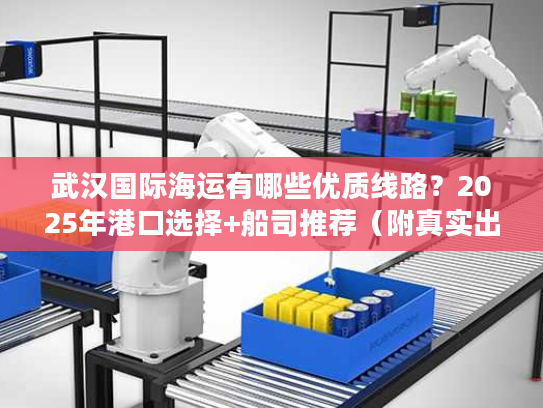 武汉国际海运有哪些优质线路？2025年港口选择+船司推荐（附真实出货案例）