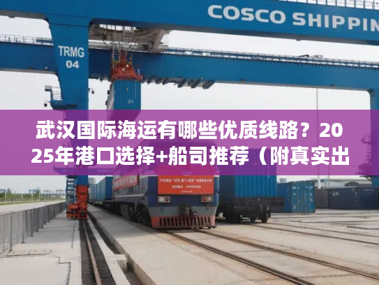 武汉国际海运有哪些优质线路？2025年港口选择+船司推荐（附真实出货案例）