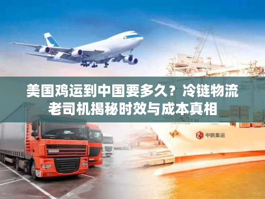 美国鸡运到中国要多久？冷链物流老司机揭秘时效与成本真相