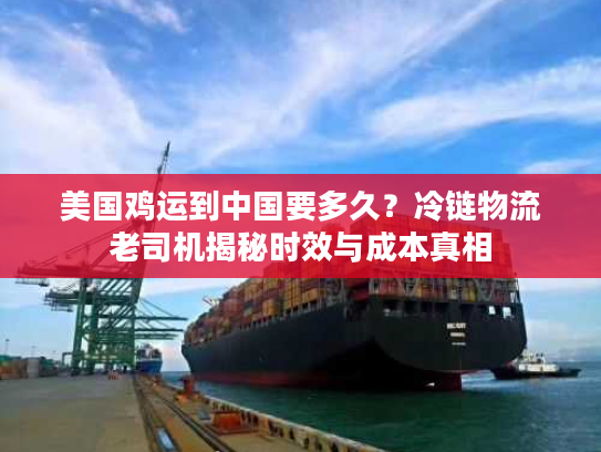 美国鸡运到中国要多久？冷链物流老司机揭秘时效与成本真相
