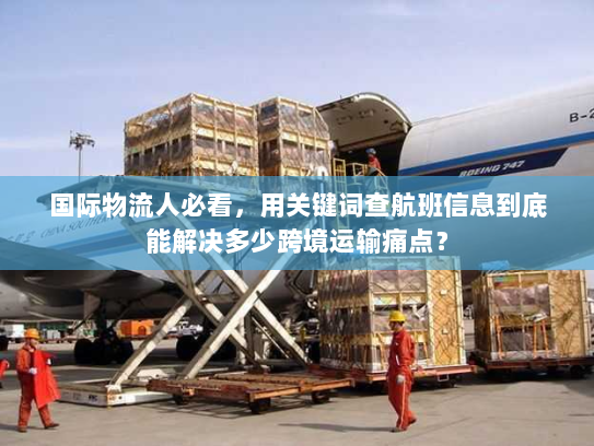 国际物流人必看,用关键词查航班信息到底能解决多少跨境运输痛点? 国际物流人必看,用关键词查航班信息到底能解决多少跨境运输痛点?