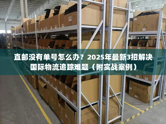直邮没有单号怎么办？2025年最新3招解决国际物流追踪难题（附实战案例）