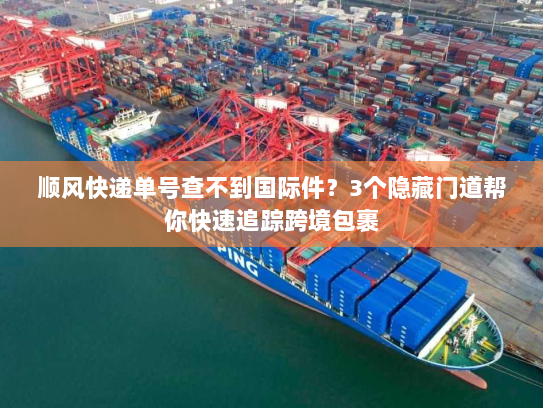 顺风快递单号查不到国际件？3个隐藏门道帮你快速追踪跨境包裹