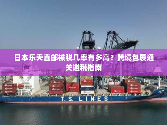 日本乐天直邮被税几率有多高?跨境包裹通关避税指南 日本乐天直邮被税几率有多高?跨境包裹通关避税指南