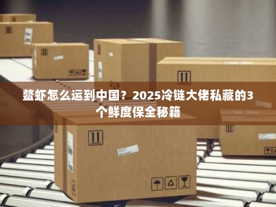 鳌虾怎么运到中国?2025冷链大佬私藏的3个鲜度保全秘籍 鳌虾怎么运到中国?2025冷链大佬私藏的3个鲜度保全秘籍