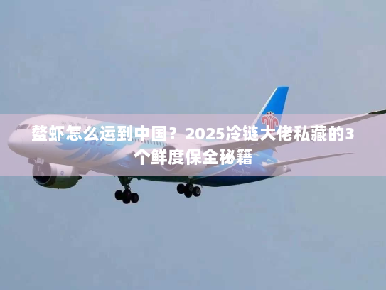 鳌虾怎么运到中国?2025冷链大佬私藏的3个鲜度保全秘籍 鳌虾怎么运到中国?2025冷链大佬私藏的3个鲜度保全秘籍