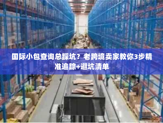 国际小包查询总踩坑?老跨境卖家教你3步精准追踪+避坑清单 国际小包查询总踩坑?老跨境卖家教你3步精准追踪+避坑清单