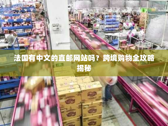 法国有中文的直邮网站吗?跨境购物全攻略揭秘 法国有中文的直邮网站吗?跨境购物全攻略揭秘