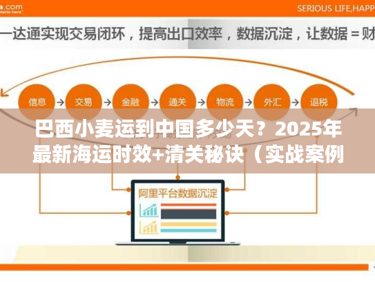 巴西小麦运到中国多少天？2025年最新海运时效+清关秘诀（实战案例揭秘）