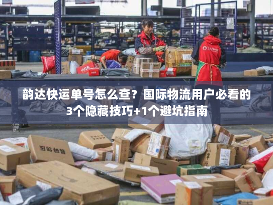 韵达快运单号怎么查？国际物流用户必看的3个隐藏技巧+1个避坑指南