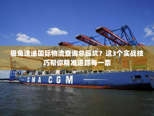 极兔速递国际物流查询总踩坑？这3个实战技巧帮你精准追踪每一票