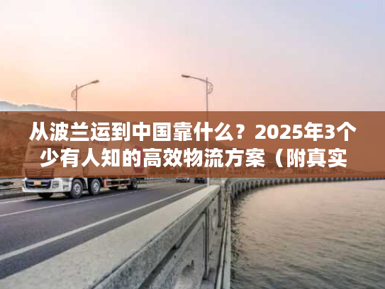 从波兰运到中国靠什么？2025年3个少有人知的高效物流方案（附真实案例）