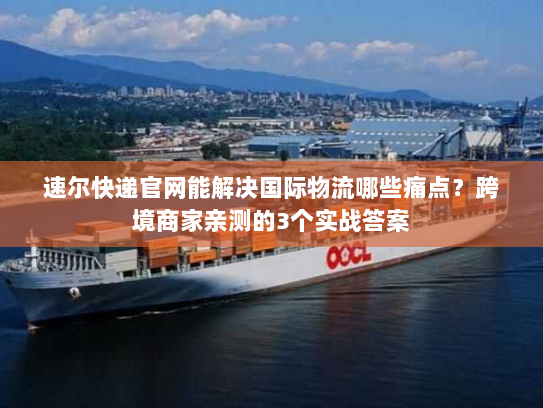速尔快递官网能解决国际物流哪些痛点?跨境商家亲测的3个实战答案 速尔快递官网能解决国际物流哪些痛点?跨境商家亲测的3个实战答案