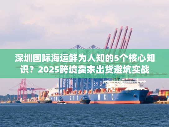 深圳国际海运鲜为人知的5个核心知识？2025跨境卖家出货避坑实战