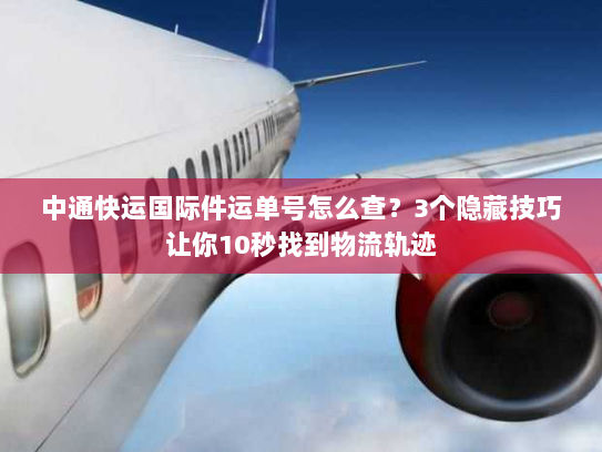中通快运国际件运单号怎么查?3个隐藏技巧让你10秒找到物流轨迹 中通快运国际件运单号怎么查?3个隐藏技巧让你10秒找到物流轨迹