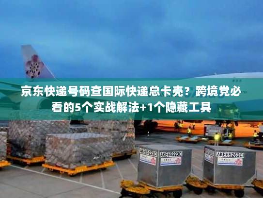 京东快递号码查国际快递总卡壳？跨境党必看的5个实战解法+1个隐藏工具