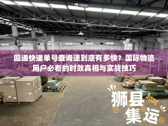 圆通快递单号查询速到底有多快？国际物流用户必看的时效真相与实战技巧