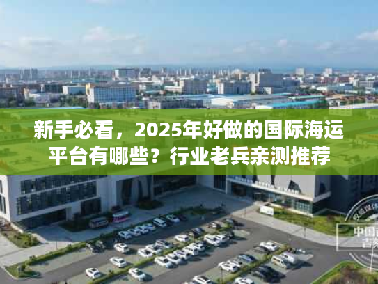 新手必看，2025年好做的国际海运平台有哪些？行业老兵亲测推荐