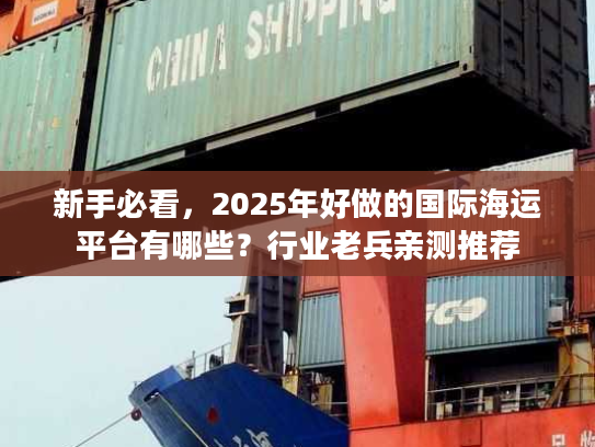 新手必看，2025年好做的国际海运平台有哪些？行业老兵亲测推荐