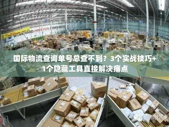 国际物流查询单号总查不到？3个实战技巧+1个隐藏工具直接解决痛点