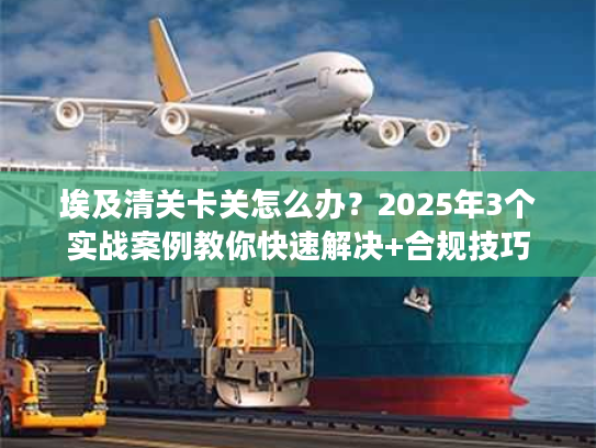 埃及清关卡关怎么办？2025年3个实战案例教你快速解决+合规技巧