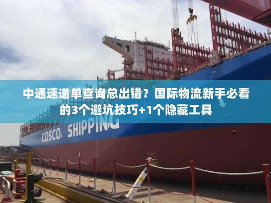 中通速递单查询总出错?国际物流新手必看的3个避坑技巧+1个隐藏工具 中通速递单查询总出错?国际物流新手必看的3个避坑技巧+1个隐藏工具