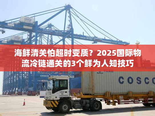 海鲜清关怕超时变质？2025国际物流冷链通关的3个鲜为人知技巧