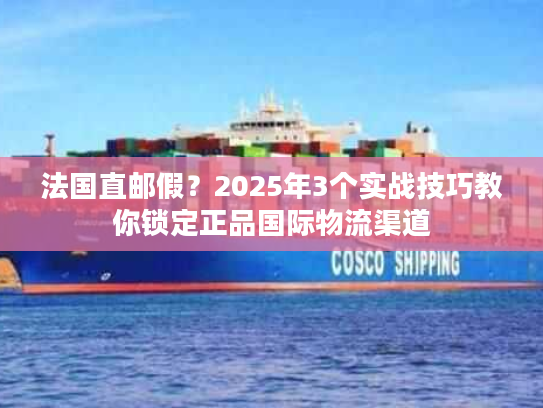 法国直邮假？2025年3个实战技巧教你锁定正品国际物流渠道
