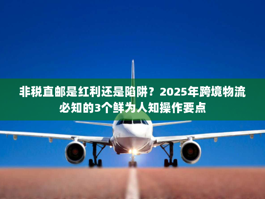 非税直邮是红利还是陷阱?2025年跨境物流必知的3个鲜为人知操作要点 非税直邮是红利还是陷阱?2025年跨境物流必知的3个鲜为人知操作要点