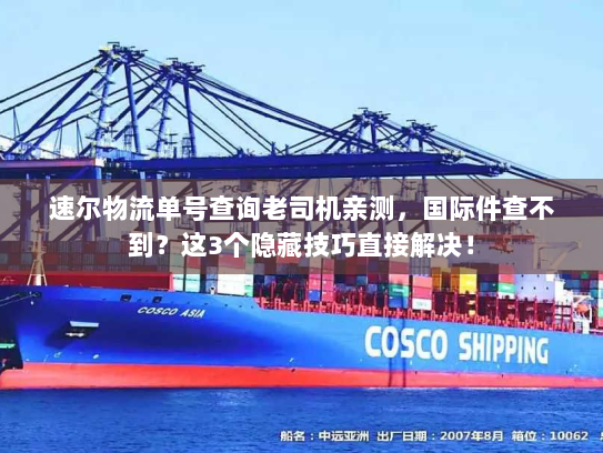 速尔物流单号查询老司机亲测，国际件查不到？这3个隐藏技巧直接解决！