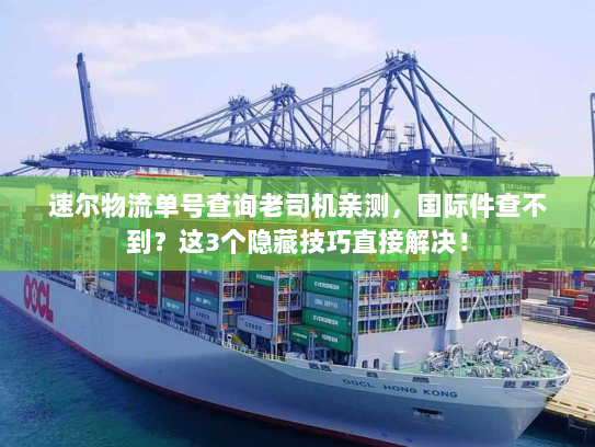 速尔物流单号查询老司机亲测，国际件查不到？这3个隐藏技巧直接解决！