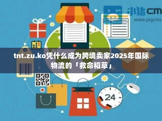 tnt.zu.ko凭什么成为跨境卖家2025年国际物流的「救命稻草」 tnt.zu.ko凭什么成为跨境卖家2025年国际物流的「救命稻草」
