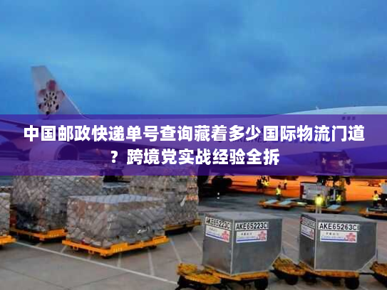 中国邮政快递单号查询藏着多少国际物流门道?跨境党实战经验全拆 中国邮政快递单号查询藏着多少国际物流门道?跨境党实战经验全拆