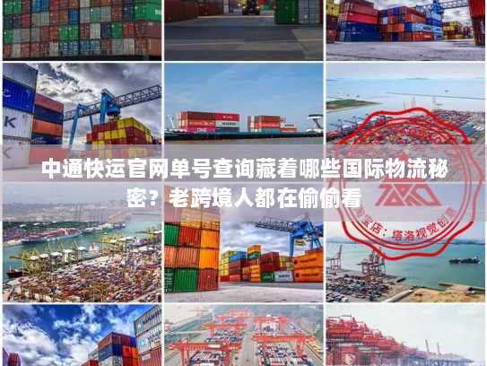 中通快运官网单号查询藏着哪些国际物流秘密？老跨境人都在偷偷看