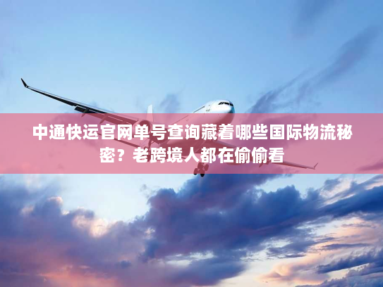 中通快运官网单号查询藏着哪些国际物流秘密?老跨境人都在偷偷看 中通快运官网单号查询藏着哪些国际物流秘密?老跨境人都在偷偷看