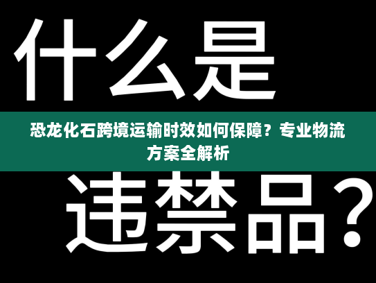 恐龙化石跨境运输时效如何保障？专业物流方案全解析