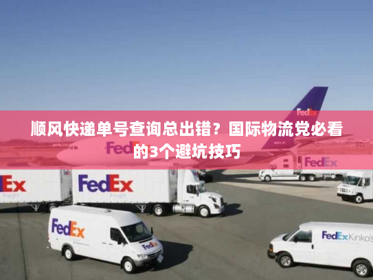 顺风快递单号查询总出错？国际物流党必看的3个避坑技巧