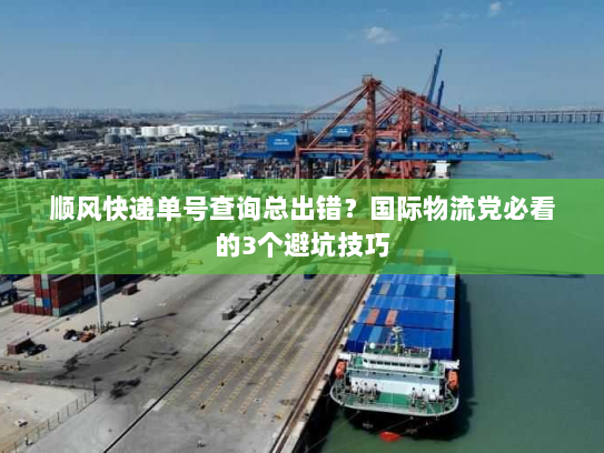 顺风快递单号查询总出错？国际物流党必看的3个避坑技巧