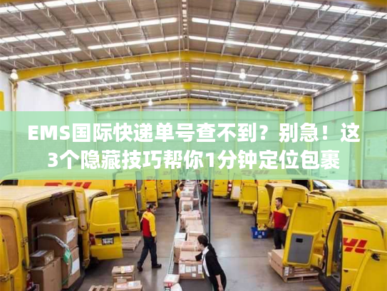 EMS国际快递单号查不到？别急！这3个隐藏技巧帮你1分钟定位包裹
