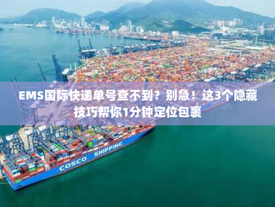 EMS国际快递单号查不到?别急!这3个隐藏技巧帮你1分钟定位包裹 EMS国际快递单号查不到?别急!这3个隐藏技巧帮你1分钟定位包裹