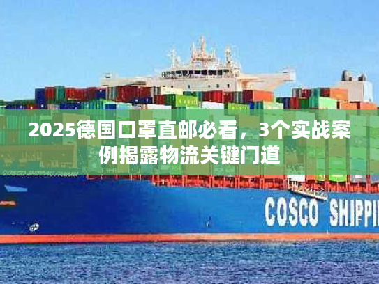 2025德国口罩直邮必看，3个实战案例揭露物流关键门道