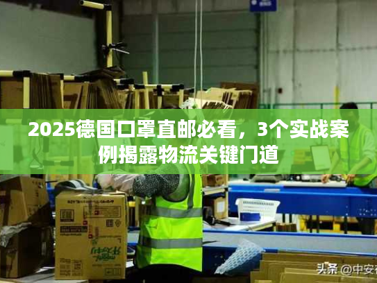 2025德国口罩直邮必看，3个实战案例揭露物流关键门道