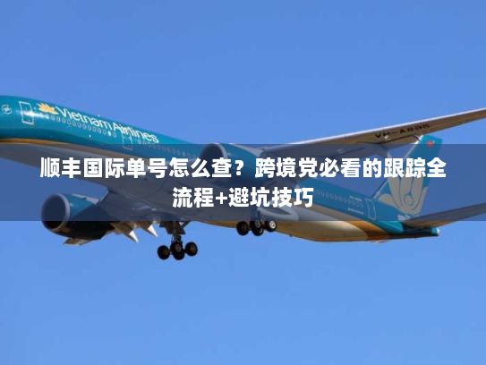 顺丰国际单号怎么查?跨境党必看的跟踪全流程+避坑技巧 顺丰国际单号怎么查?跨境党必看的跟踪全流程+避坑技巧