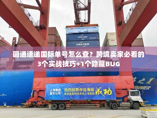 圆通速递国际单号怎么查？跨境卖家必看的3个实战技巧+1个隐藏BUG